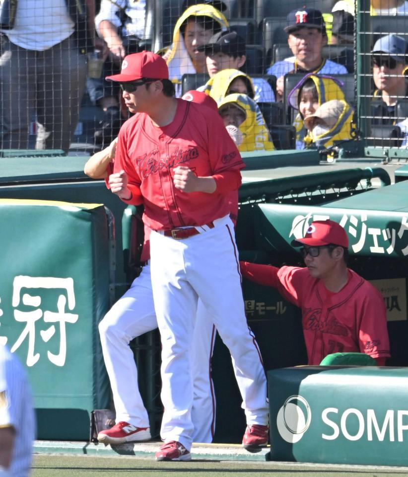 ７回、坂倉に代走辰見を送る新井監督