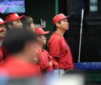 ７回、ベンチから宣教を見る新井監督（右）＝撮影・西岡正