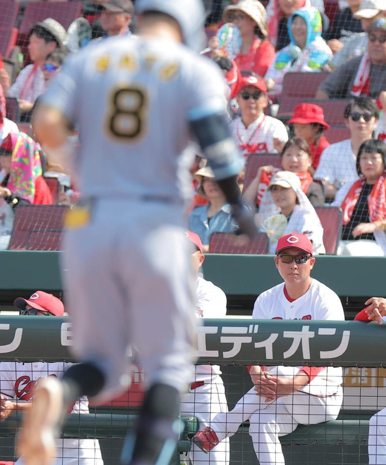 ６回、同点ソロを放った佐藤輝（手前）を見つめる広島・新井監督（撮影・西田忠信）