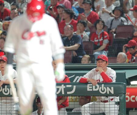 ６回、打席の坂倉（手前）を見つめる新井監督（撮影・西田忠信）