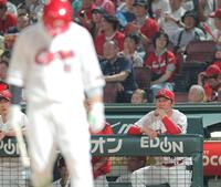 ６回、打席の坂倉（手前）を見つめる新井監督（撮影・西田忠信）