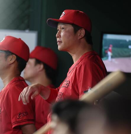 ベンチで厳しい表情の新井監督（撮影・金田祐二）