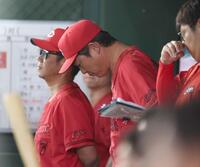 ベンチでうつむく新井監督（撮影・金田祐二）