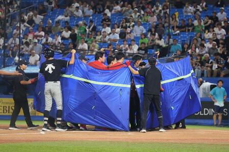 ６回、死球を受け運ばれる勝田（撮影・石井剣太郎）