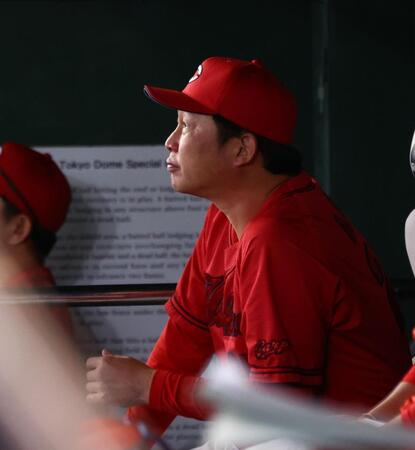 ８回、しぶい表情で戦況を見つめる新井監督（撮影・中島達哉）