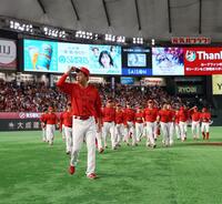 今季巨人との最終戦を終え、スタンドのファンにあいさつする新井監督（左）ら広島ナイン＝撮影・中島達哉
