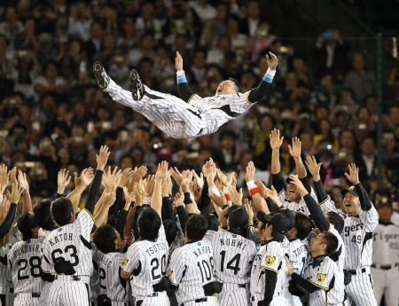 　セレモニー終了後阪神ナインに胴上げされる阪神・金本