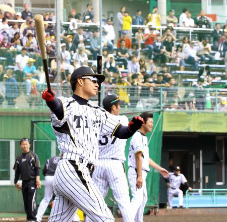 　ロングティーを打ち込む阪神・鳥谷（撮影・田中太一）