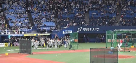 　大谷のフリー打撃に注目する阪神ナイン（撮影・高部洋祐）