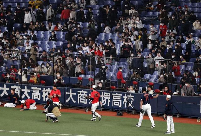 3/3（金）WBC強化試合 京セラドーム大阪 指定席SS１塁 侍ジャパン応援マフラー付 １塁側下段 F列 140番台 連番２枚