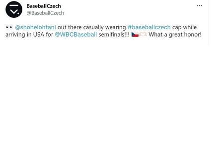 　チェコ野球協会の公式ツイッター（＠ＢａｓｅｂａｌｌＣｚｅｃｈ）より