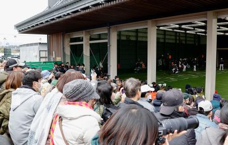 　ＷＢＣ日本代表の強化合宿を訪れ、ブルペンで練習する選手を見守るファン＝１７日、宮崎市