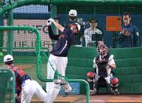 フリー打撃する大谷