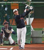 打撃練習する岡本（撮影・飯室逸平）