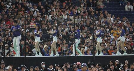 熱い台湾の応援席（撮影・佐々木彰尚）