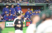 オーストラリアに敗れた台湾ナイン＝東京ドーム（撮影・佐々木彰尚）