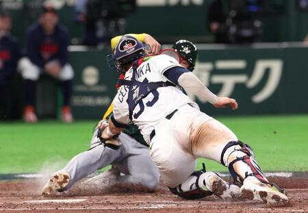 パーキンスが本塁を狙うもチェコのチェルベンカが好タッチ（撮影・佐々木彰尚）