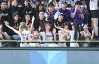 声援を送る台湾のチア