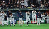 ７回、吉田の２点適時打で盛り上がる日本ベンチ（撮影・金田祐二）
