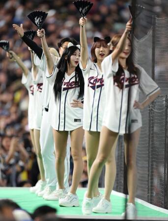 韓国チア（撮影・金田祐二）