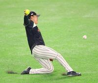 フリー打撃の打球をスライディングキャッチする山本（撮影・西岡正）