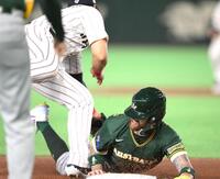 ６回、ホワイトフィールドが三盗を決めてその後生還する（撮影・堀内翔）