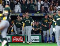 ６回、三盗と悪送球間にホワイトフィールドが生還し、喜ぶ豪州ナイン（撮影・伊藤笙子）