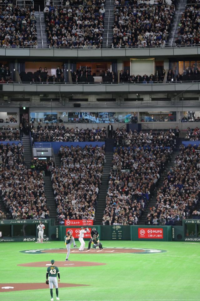 １回日本無死、打席に入る大谷（撮影・西岡正）