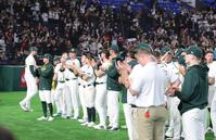 １次リーグ敗退でスタンドのファンにあいさつするオーストラリアナイン（撮影・西岡正）