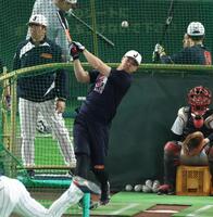 調整する佐藤輝（撮影・金田祐二）