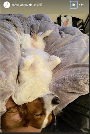 　大谷翔平のインスタグラム（ｓｈｏｈｅｉｏｈｔａｎｉ）より