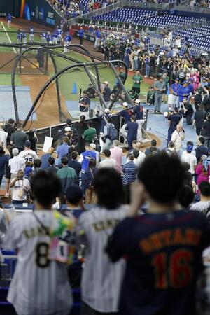 　大谷の打撃練習を見つめるファン＝マイアミ（共同）