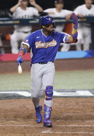 　納得いかない様子のアクーニャ（撮影・伊藤笙子）