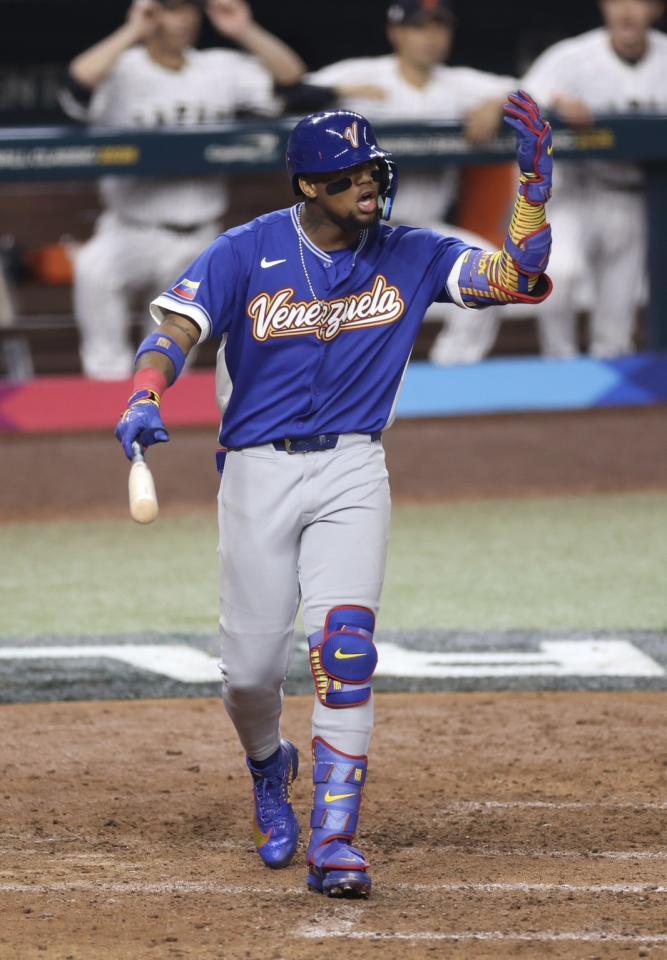 　納得いかない様子のアクーニャ（撮影・伊藤笙子）