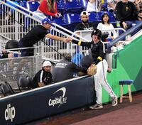 　ライナーを鮮やかにキャッチしファンにボールを渡すボールボーイ（撮影・伊藤笙子）