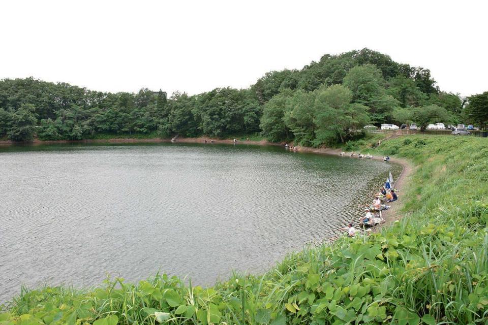 　　鈴川公園内にある沼の辺沼。１周約７００メートルのこぢんまりした釣り場だが、釣り座を構えやすく、魚影も濃い