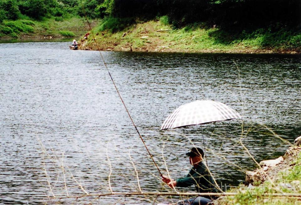　魚影濃く迫力ある釣りが期待できる峰谷川