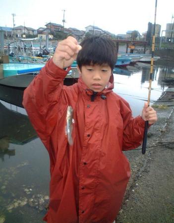 　漁港のスロープでノベウキ釣りで手にしたハゼ