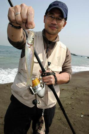 　シーズン初期ながら２０センチ級のシロギスも手にできる