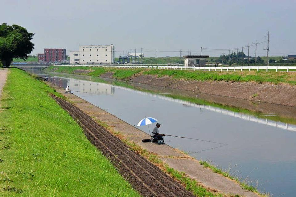 　写真奥に見えるのが鵠戸沼第２排水機場。この先は利根川に通じる