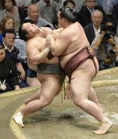 　稀勢の里が押し出しで豊ノ島を破る