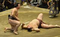 　すくい投げで稀勢の里（右）を下し、優勝に王手をかけた白鵬（撮影・村中拓久）
