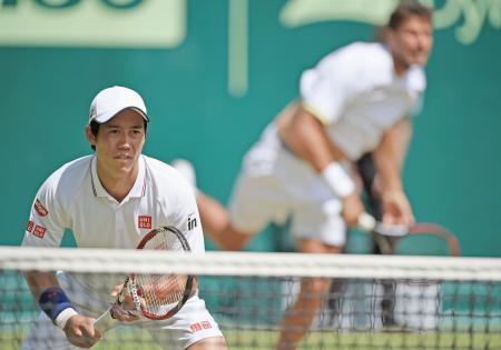 　男子ダブルス準々決勝で敗退した錦織（左）、ハーセ組＝ハレ（ゲッティ＝共同）