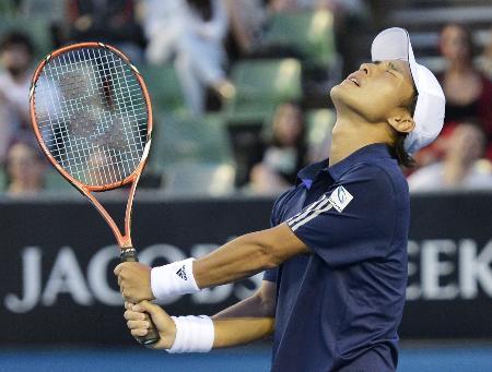 　男子シングルス２回戦　ミスをして天を仰ぐ添田豪＝メルボルン（共同）