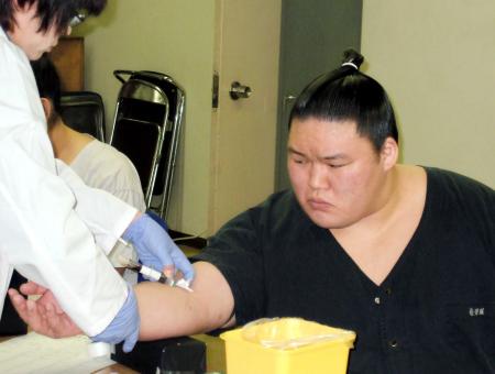 　採血の注射を神妙な面持ちで見る豪栄道