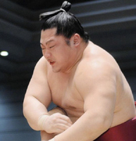 大相撲の遠藤が休場、左膝など損傷