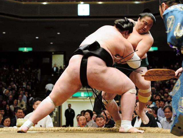 照ノ富士は５連勝、全勝は栃煌山と２人