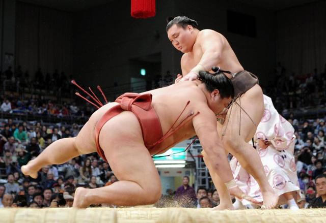 白鵬４連勝も「やっちゃったと思った」