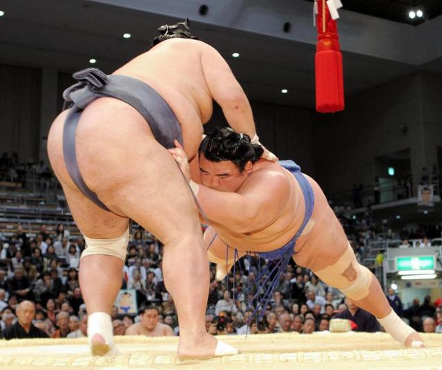 大関琴奨菊　行司差し違えで５連勝