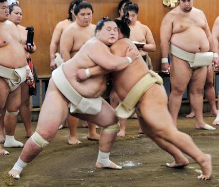 伊勢ケ浜一門連合稽古で汗を流す照ノ富士＝友綱部屋